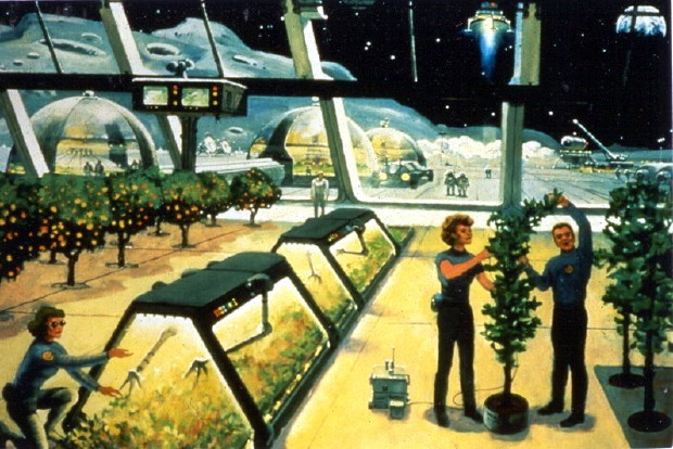 [lunar agriculture picture]