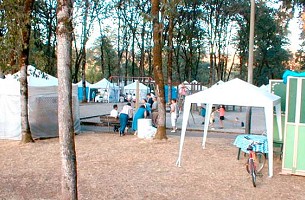 Homer Davenport Days Booths